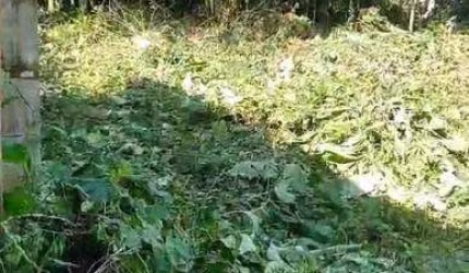 Terreno à venda no Jardim Rio Claro, Caraguatatuba  por R$ 110.000