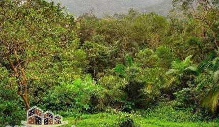 Terreno à venda na Barra do Una, São Sebastião , 3000 m2 por R$ 580.000