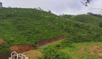 Terreno à venda no São Francisco, São Sebastião , 558 m2 por R$ 350.000