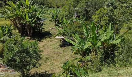 Casa com 3 quartos à venda no Pachi, Natividade da Serra , 5000 m2 por R$ 250.000