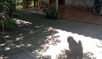 Casa com 2 quartos à venda no Pegorelli, Caraguatatuba , 300 m2 por R$ 230.000
