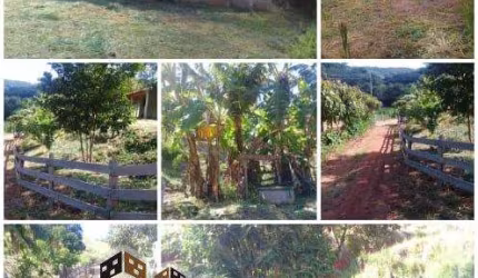 Terreno à venda na Ponte Nova, Lagoinha , 5000 m2 por R$ 140.000