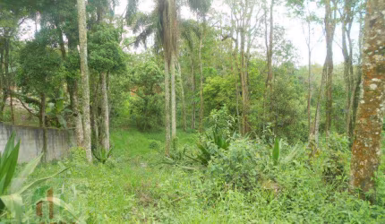 Terreno à venda, 2897 m² por R$ 530.000,00 - Lagoa - Vargem Grande Paulista/SP