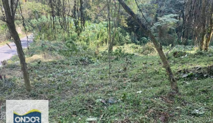 Terreno à venda, 1650 m² por R$ 858.000,00 - Granja Viana - Cotia/SP