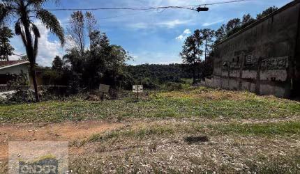 Terreno à venda, 203 m² por R$ 131.950,00 - Parque Green Village - Cotia/SP