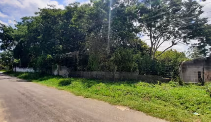 Chácara 3.000mts com Casa Velha - Zona Leste - Abaixo do Valor