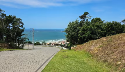Oportunidade em meia a natureza