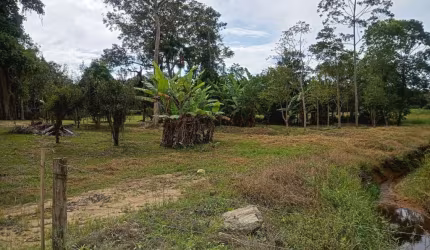 Sitio de 10 HA em Ilhota SC.