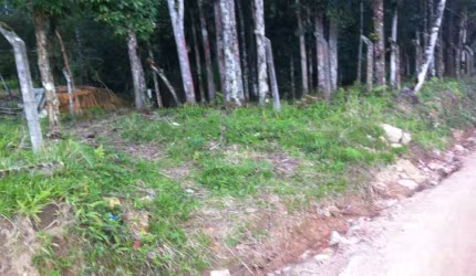 Sítio à venda, Alsacia - Guabiruba/SC