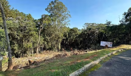 Terreno à venda, 729 m² por R$ 949.000,00 - Novo Horizonte Hills I E II - Arujá/SP