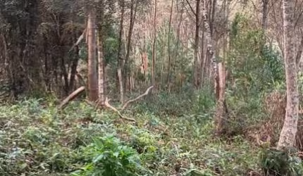 Chácara MONTE BELO