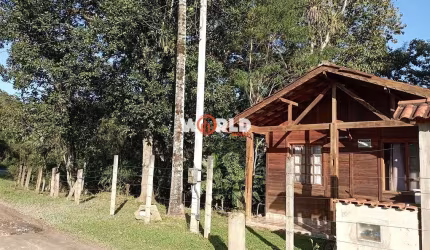 Characa ribeirão - alexandra