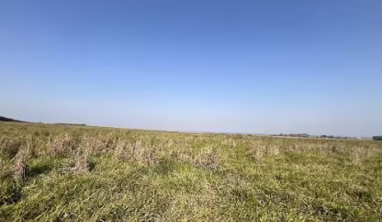 Fazenda com 1 dormitório à venda, 2117500 m² por R$ 13.125.000,00 - Centro - Bofete/SP