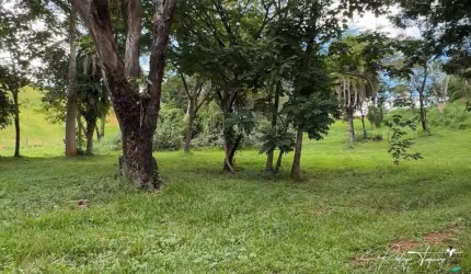 Terreno com Vista para Mata Preservada no Aldeia do Vale – Exclusividade e Privacidade em Localização Privilegiada