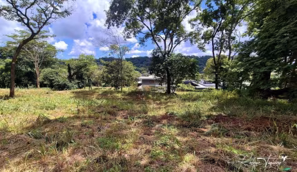 Terreno em Declive com Vista Panorâmica – Aldeia do Vale