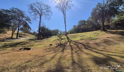 Terreno com Vista Privilegiada – Aclive e Topografia Ideal