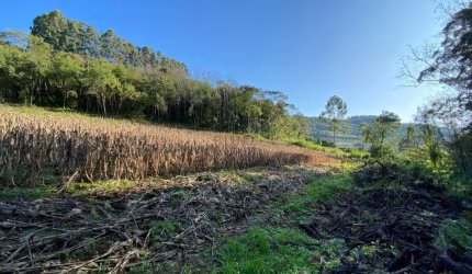 Sítio à venda, 2 quartos, São Roque de Castro - Boa Vista do Sul/RS