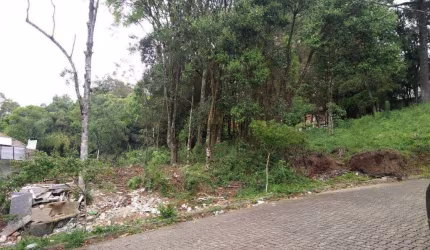 Terreno a venda bairro Borgo, Bento Gonçalves / rs