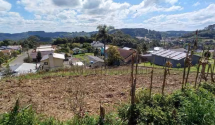 Terreno à venda, Operário - Barão/RS