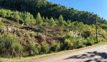 Terreno à venda, Interior - Barão/RS