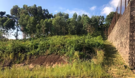 Terreno à venda, Chácaras - Garibaldi/RS