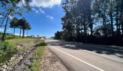 Área Comercial à venda, Linha São Roque Figueira de Melo - Garibaldi/RS