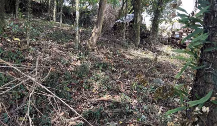 Terreno à venda, São Francisco - Garibaldi/RS