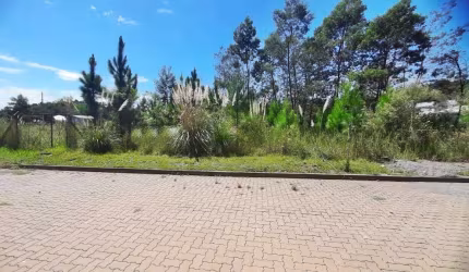 Terreno em Garibaldi/RS - Bairro Alfândega