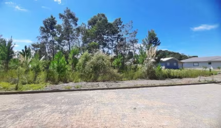 Terreno em Garibaldi/RS - Bairro Alfândega