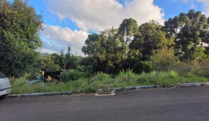 Terreno à venda, Centro - Barão/RS