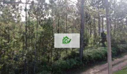 Área à venda, 2500 m² por R$ 1.590.000,00 - Jardim Capricórnio - Caraguatatuba/SP
