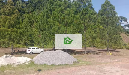 Área à venda, 8626 m² por R$ 3.600.000 - Getuba - Caraguatatuba/SP