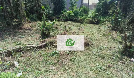 Terreno à venda, 490 m² por R$ 350.000,00 - Jardim das Gaivotas - Caraguatatuba/SP