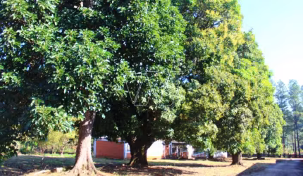 Terreno comercial à venda no Sousas, Campinas  por R$ 5.450.000