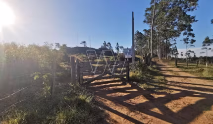 Fazenda à venda no Joaquim Egídio, Campinas , 112 m2 por R$ 2.900.000