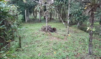 Casa no Guaraú com  dois dormitórios 1760 metros quadrados
