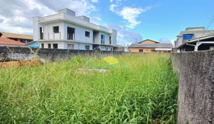 Terreno plano e murado de 360m² (12X30) com zoneamento ARM-3.5 no Alto Ribeirão - Ribeirão da Ilha,
