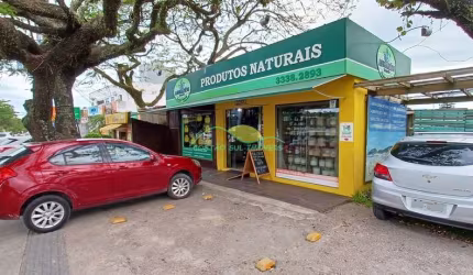 Excelente Ponto Comercial, especializado em Produtos Naturais, à venda no Centro do Campeche, Flori