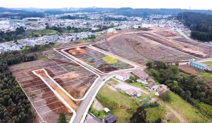 Terreno à venda  no Loteamento Jardim das Acácias, Industrial Norte, Rio Negrinho, Santa Catarina