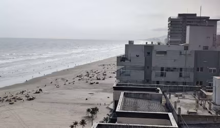 Apto de 2 Dorm. c/ 1 SUÍTE, PRÉDIO FRENTE MAR, 87 m² de área útil. Bairro: AVIAÇÃO.