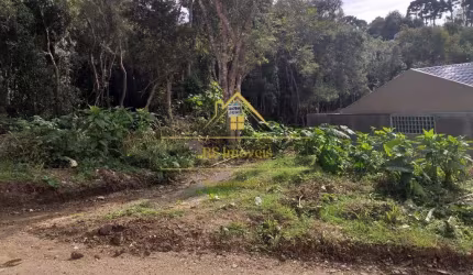 Terreno Lote em Colombo Bairro São Dimas