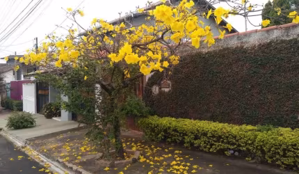 Sobrado à Venda, Jardim Regina, 3 quartos, 1 suíte, 165,85 m²