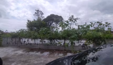 Terreno para Venda em Itanhaém, Jardim Das Palmeiras