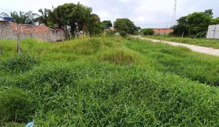 Terreno para Venda em Itanhaém, Jardim Das Palmeiras