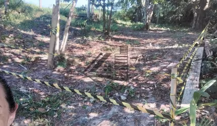 Lote / Terreno em Balneário Adriana  -  Ilha Comprida