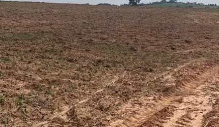 Terreno em Avecuia  -  Porto Feliz