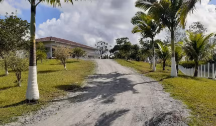 Chácara / sítio com 5 quartos à venda na Rodovia SC-108, 100, Vila Nova, Joinville, 126000 m2 por R$ 2.500.000