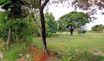 Área à venda, 13000 m² por R$ 10.000.000,00 - Vale Verde - Valinhos/SP