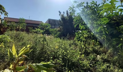 LEVÍSSIMO ACLIVE ...COM 250 METROS!
