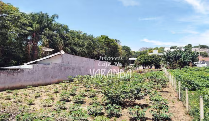 Terreno à venda, 1112 m² por R$ 1.200.000 - Jardim São Luiz - Valinhos/SP
